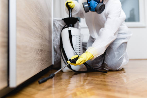 Best Best Pest Control Companies  in Arcola, IL