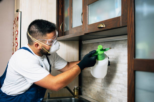 Best Wildlife Control Services  in Arcola, IL