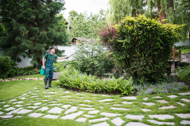 Best Pest Inspection Near Me  in Arcola, IL