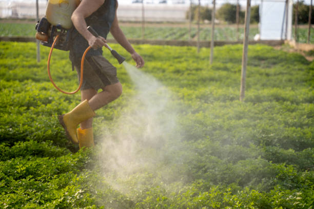 Best Mosquito Control Services  in Arcola, IL