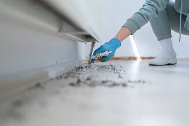 Best Bed Bug Extermination  in Arcola, IL